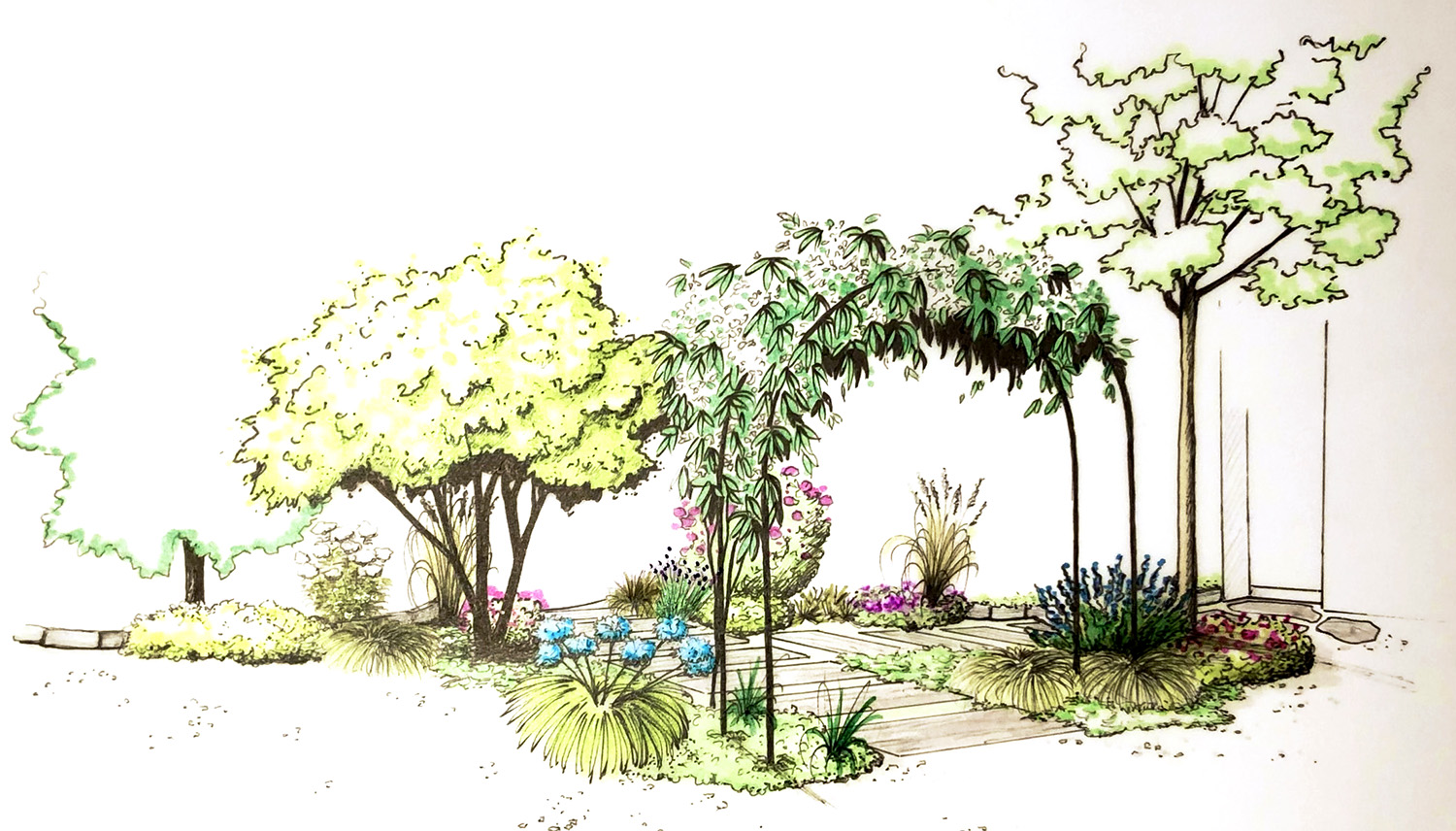 Illustration entrée de jardin pas japonais treille et plante grimpante