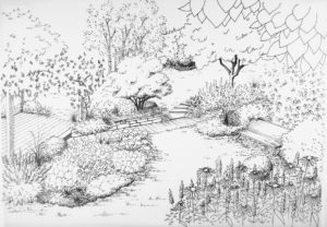 Croquis d'illustration d'un jardin fleuri