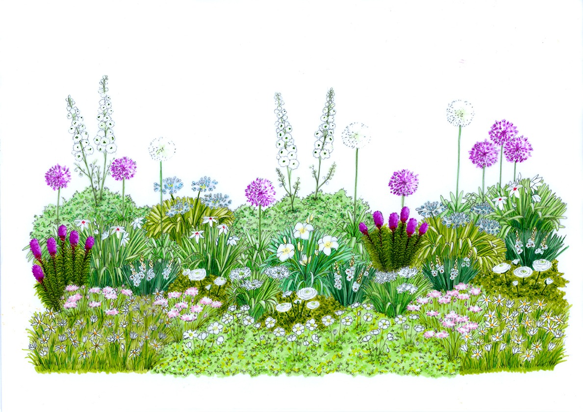 Illustration pour massif estival Bulbup